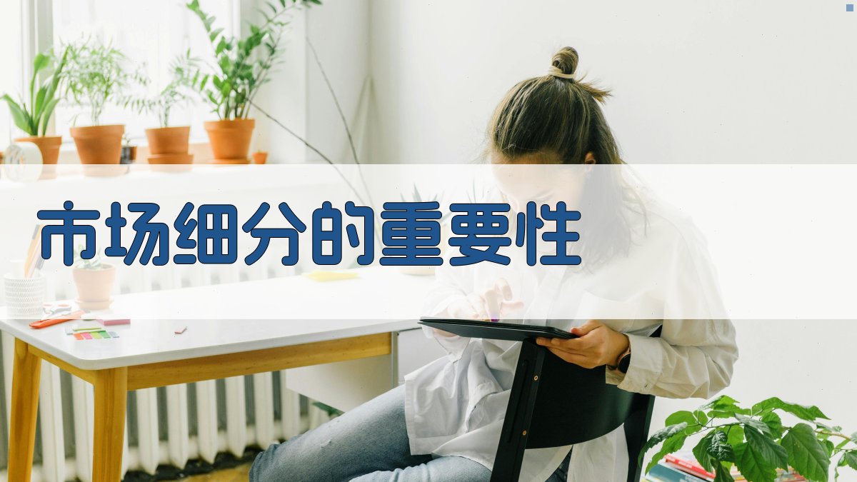 市场细分的重要性 图1
