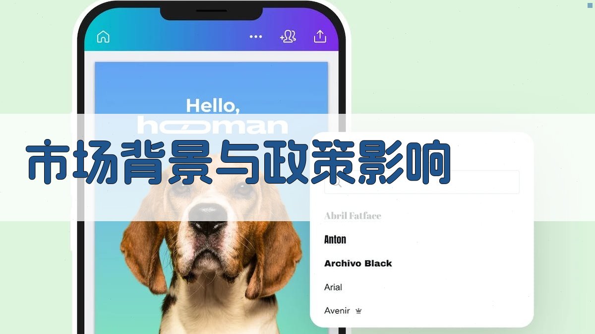 市场背景与政策影响 图1