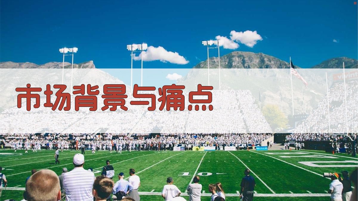 市场背景与痛点 图1