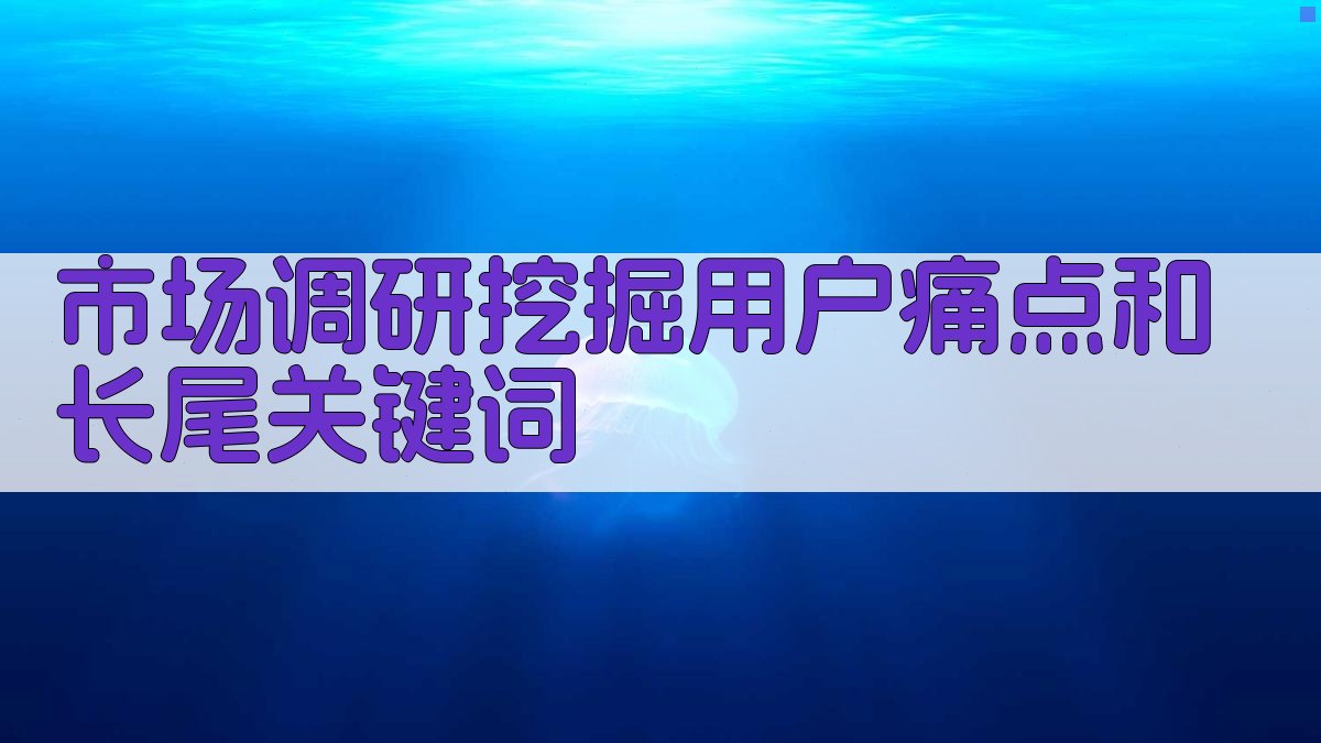 市场调研挖掘用户痛点和长尾关键词 图1