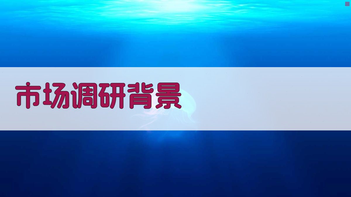 市场调研背景 图1