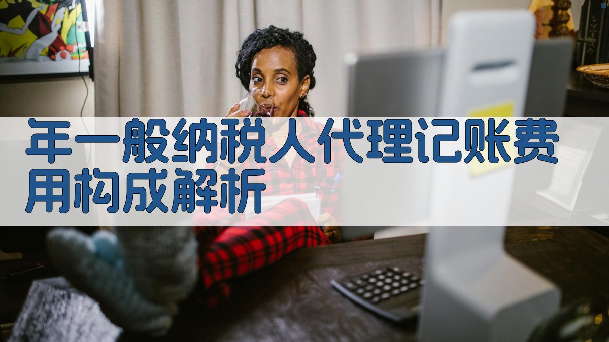 年一般纳税人代理记账费用构成解析 图2