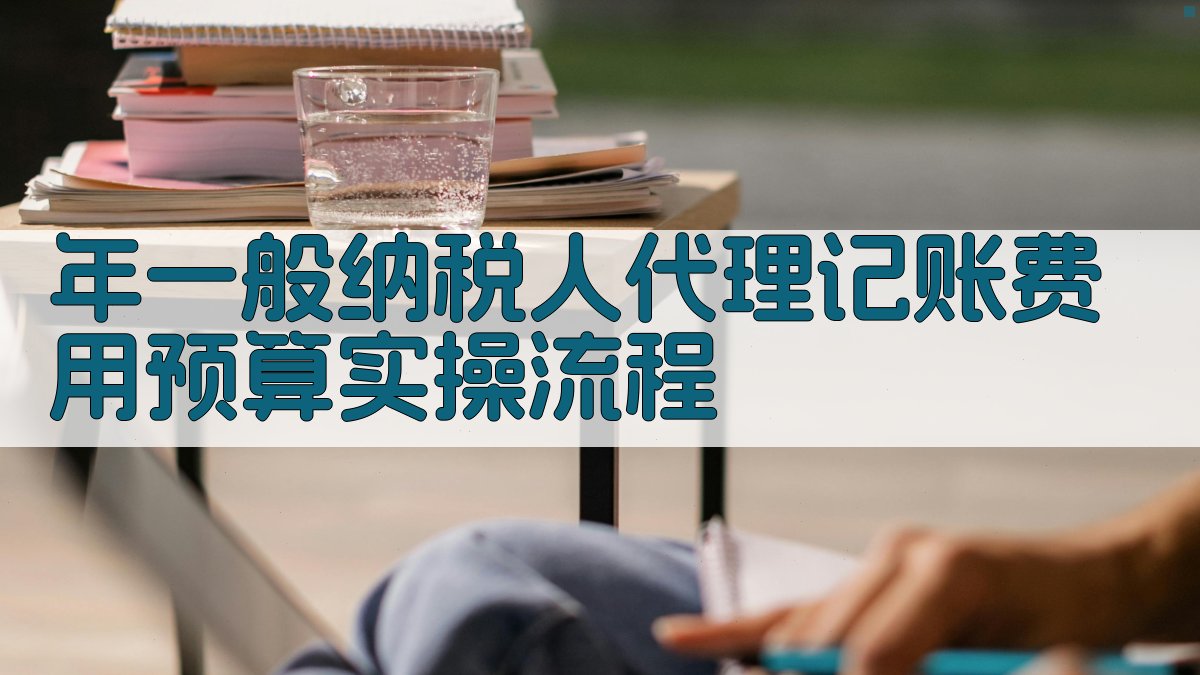 年一般纳税人代理记账费用预算实操流程 图3