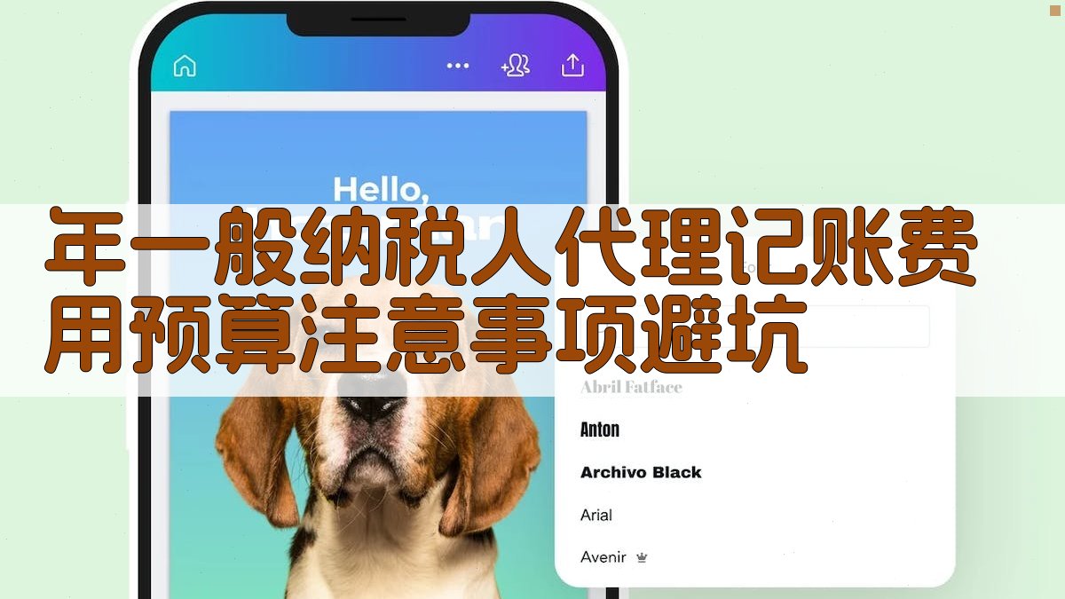 年一般纳税人代理记账费用预算注意事项/避坑 图4