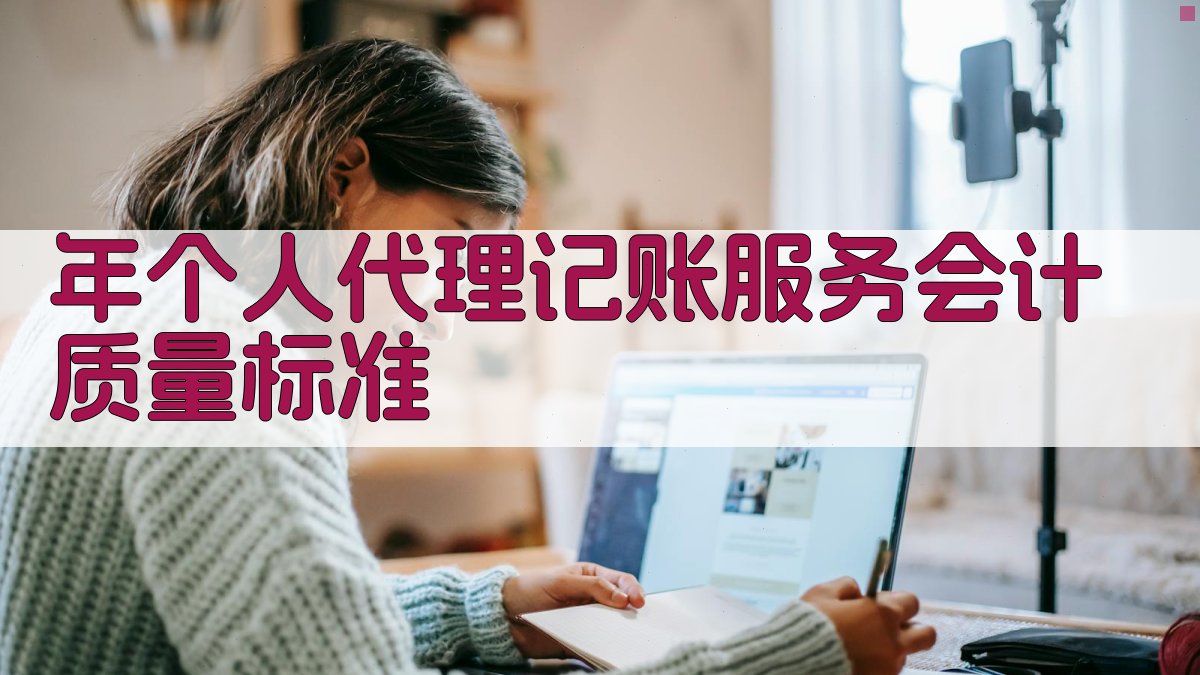 年个人代理记账服务会计质量标准 图2
