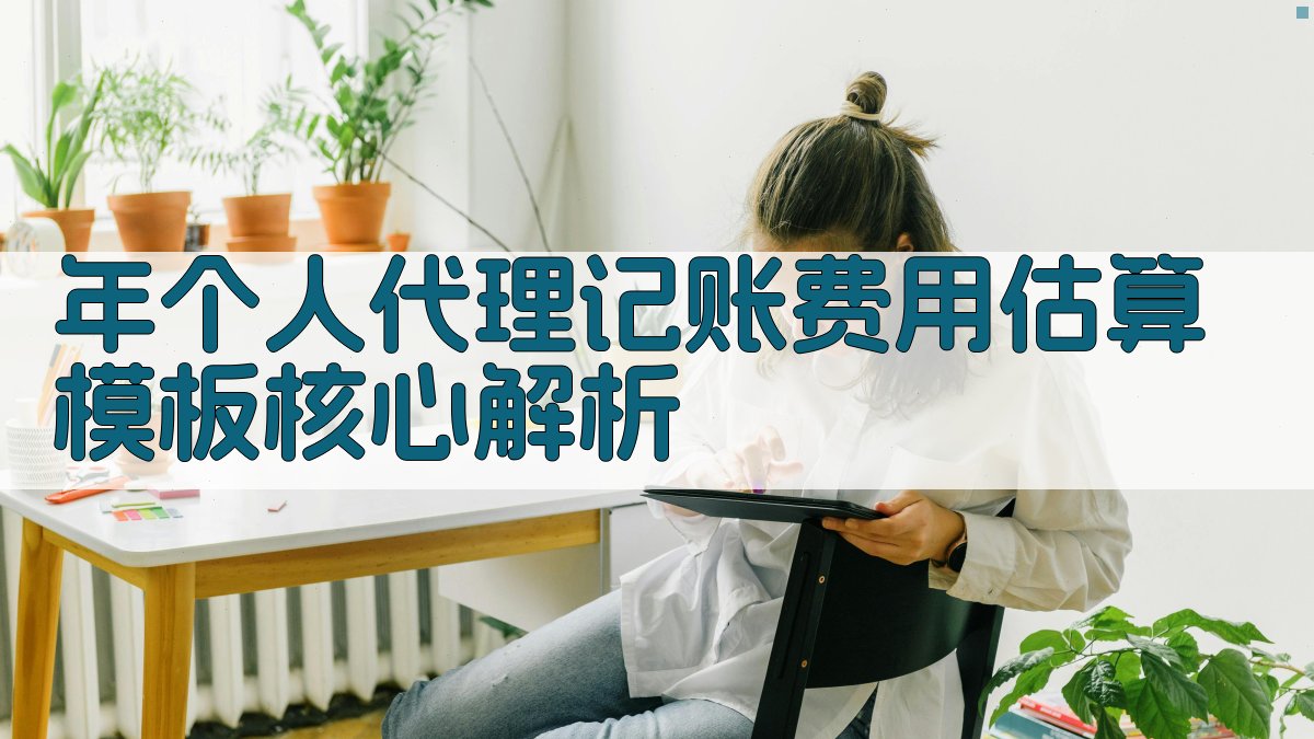 年个人代理记账费用估算模板核心解析 图1