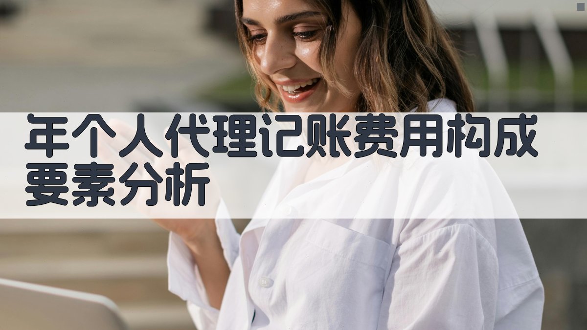 年个人代理记账费用构成要素分析 图1