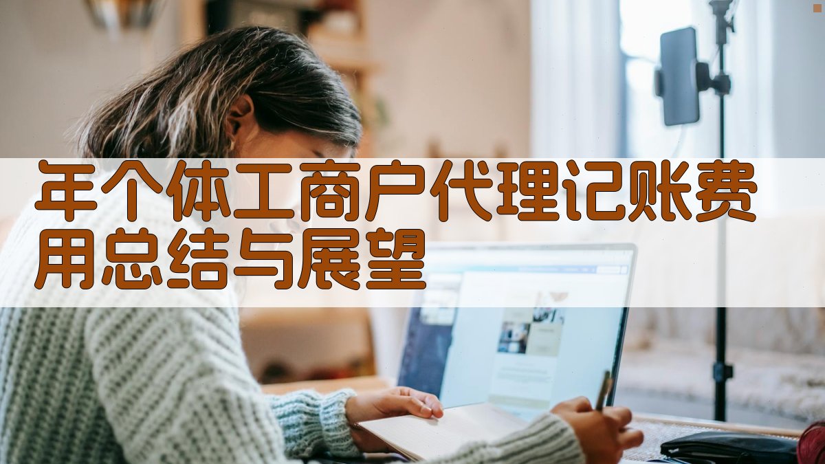 年个体工商户代理记账费用总结与展望 图5