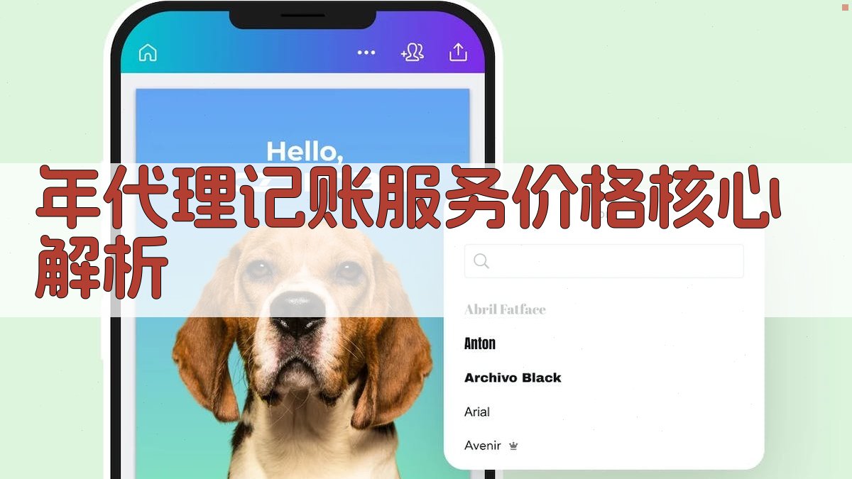 年代理记账服务价格核心解析 图2