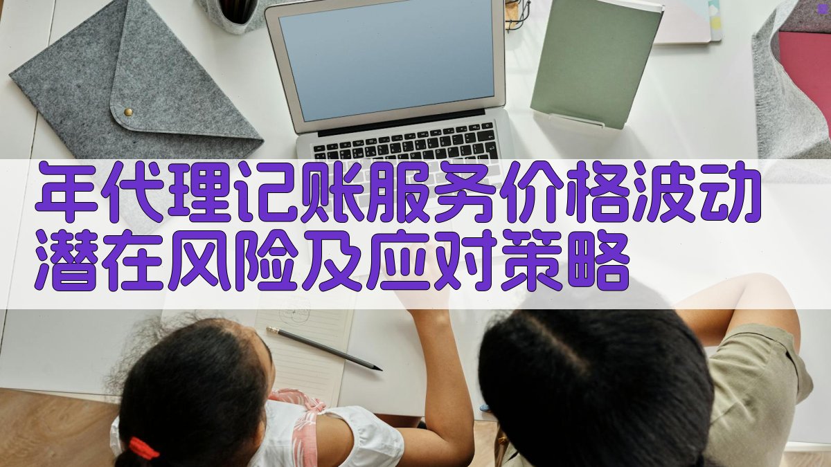 年代理记账服务价格波动潜在风险及应对策略 图3