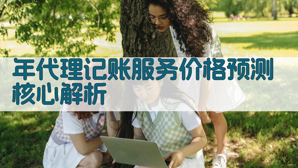 年代理记账服务价格预测核心解析 图2