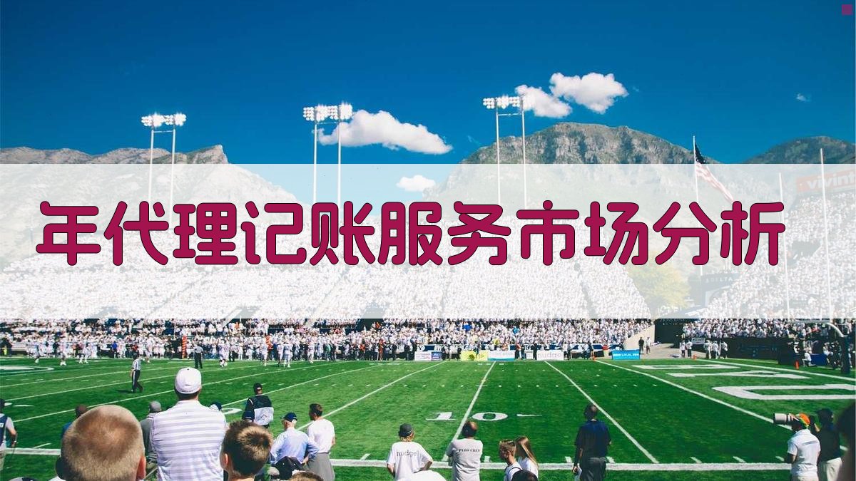 年代理记账服务市场分析 图2