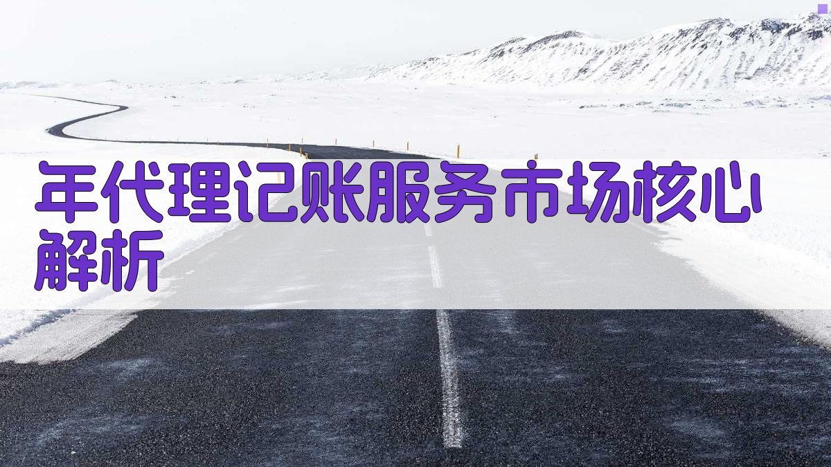 年代理记账服务市场核心解析 图1