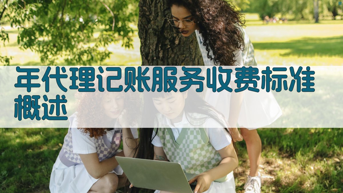 年代理记账服务收费标准概述 图1