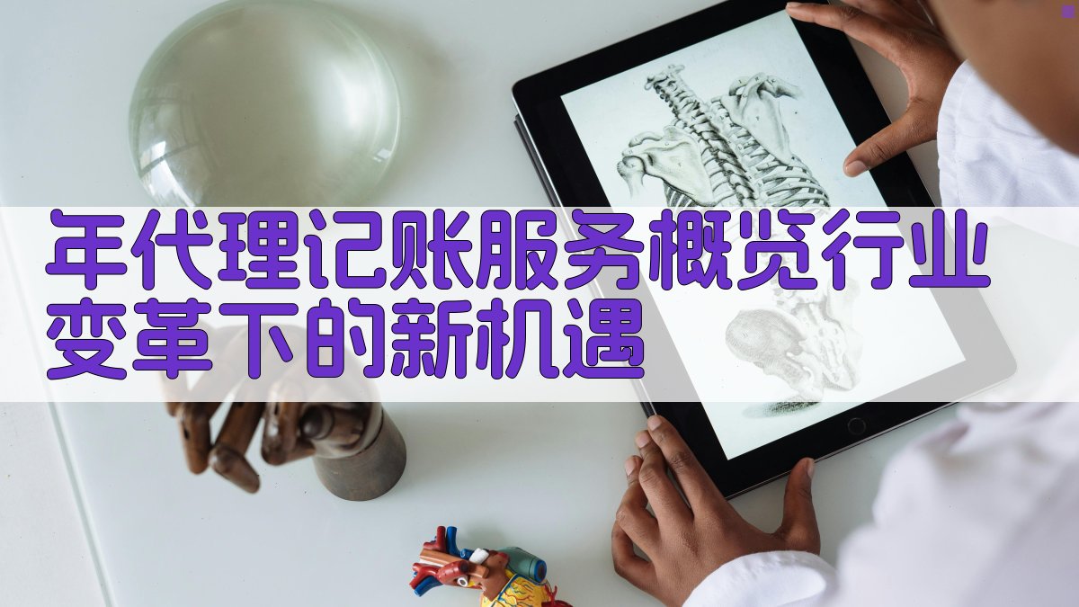 年代理记账服务概览行业变革下的新机遇 图1