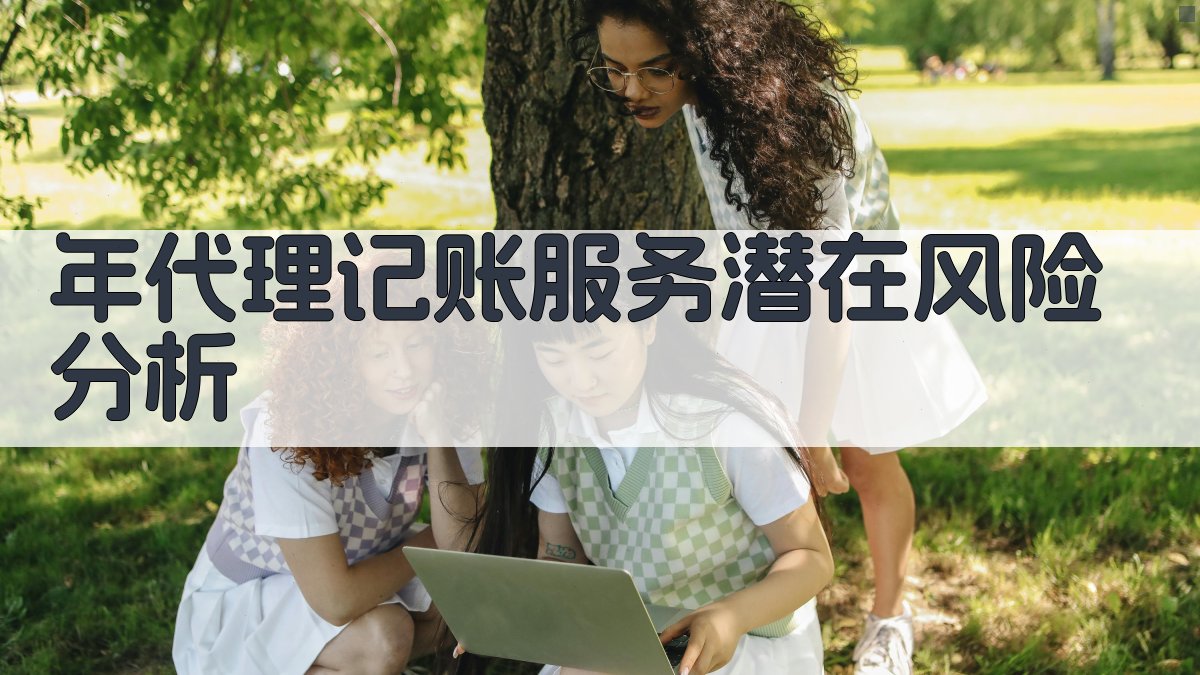 年代理记账服务潜在风险分析 图2