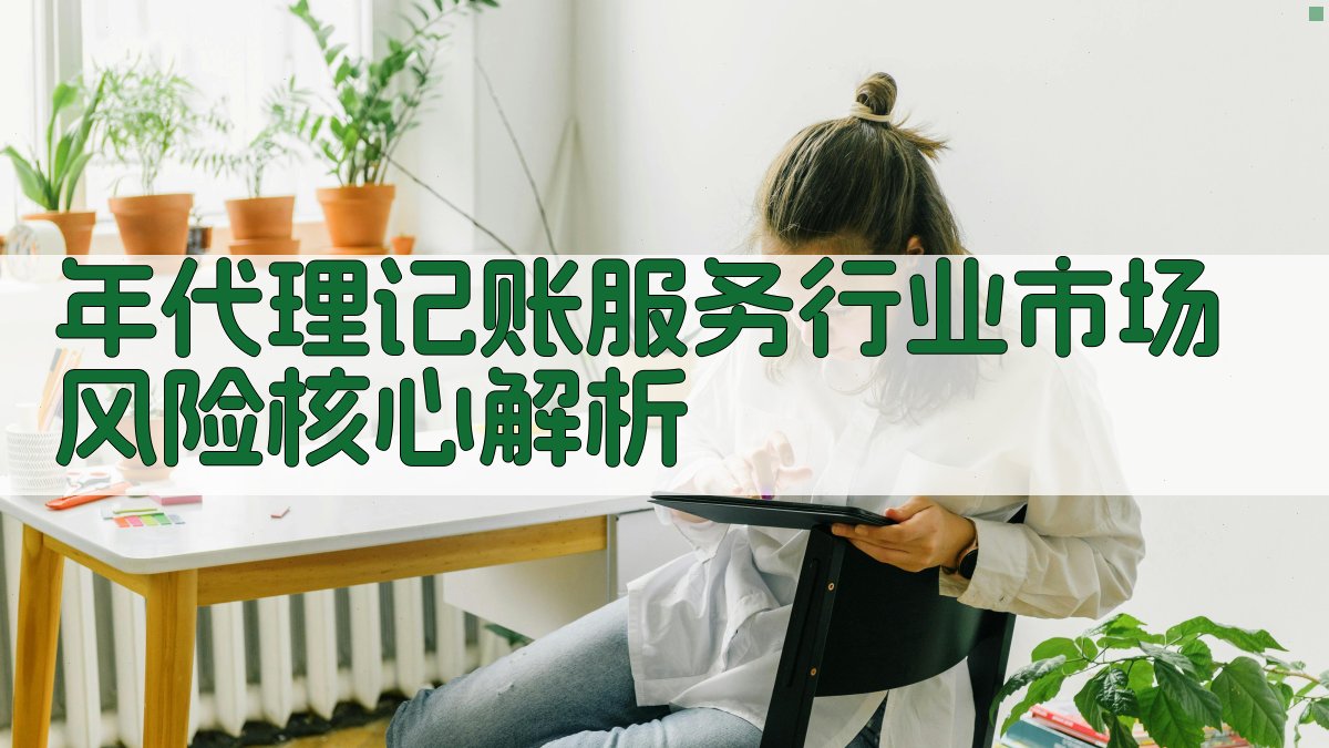 年代理记账服务行业市场风险核心解析 图2