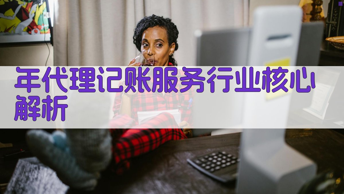 年代理记账服务行业核心解析 图2