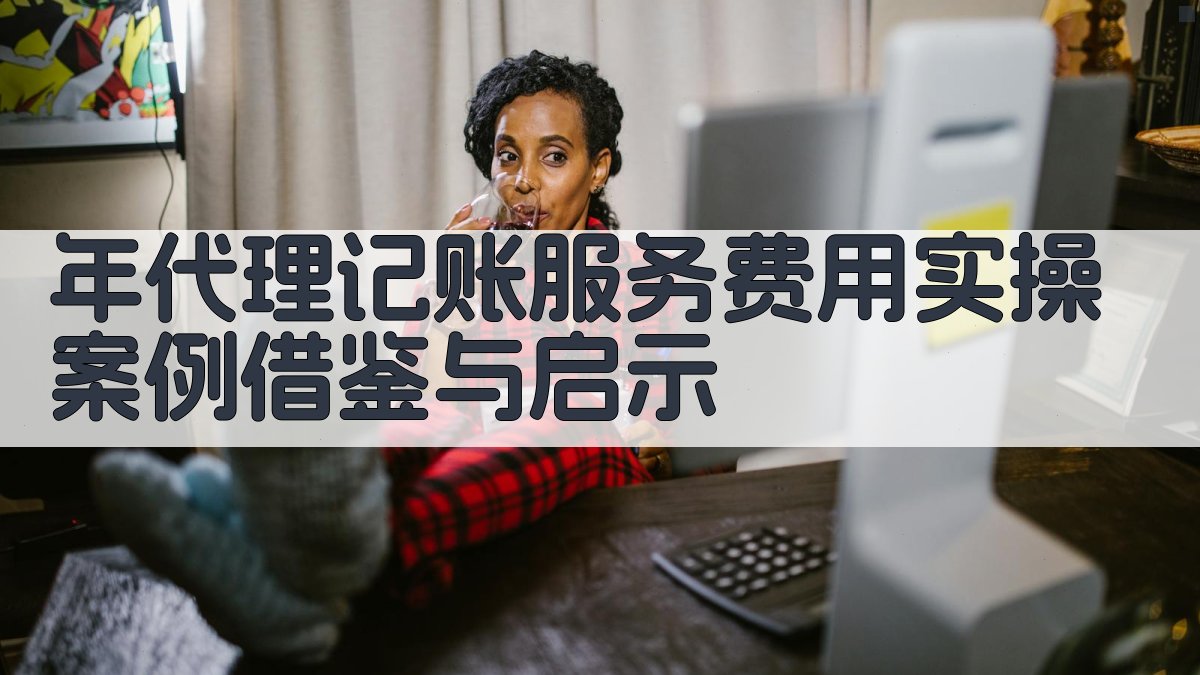 年代理记账服务费用实操案例借鉴与启示 图4