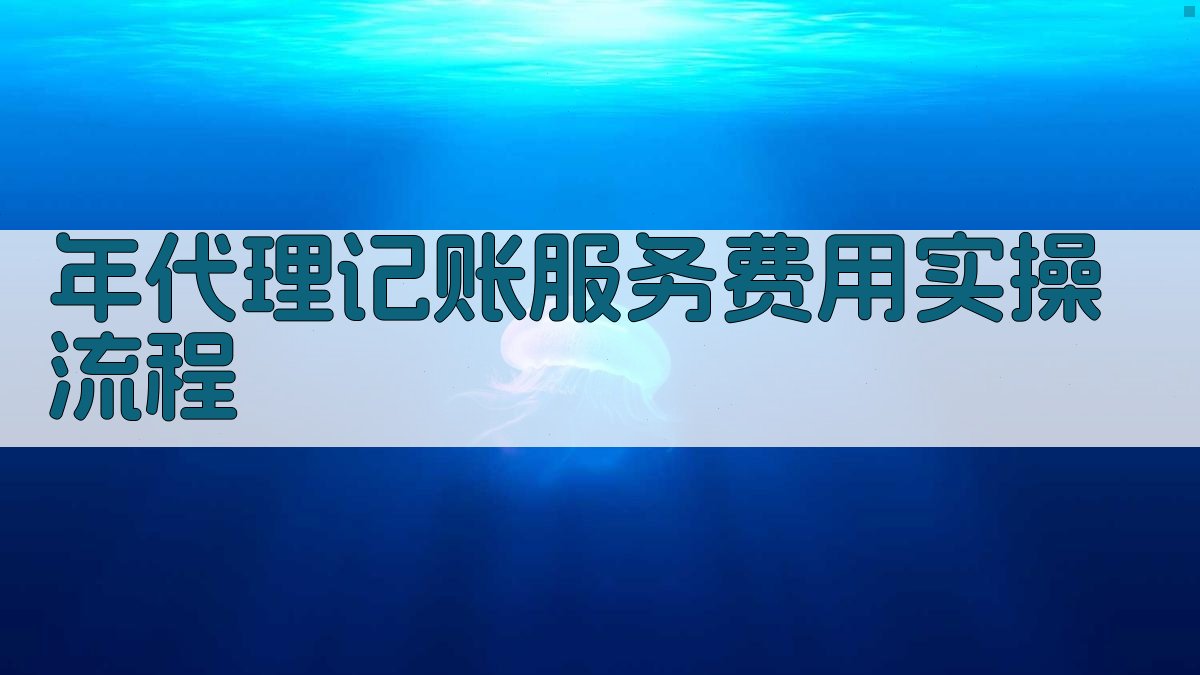 年代理记账服务费用实操流程 图2