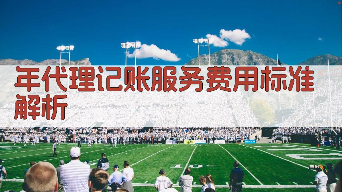 年代理记账服务费用标准解析 图2