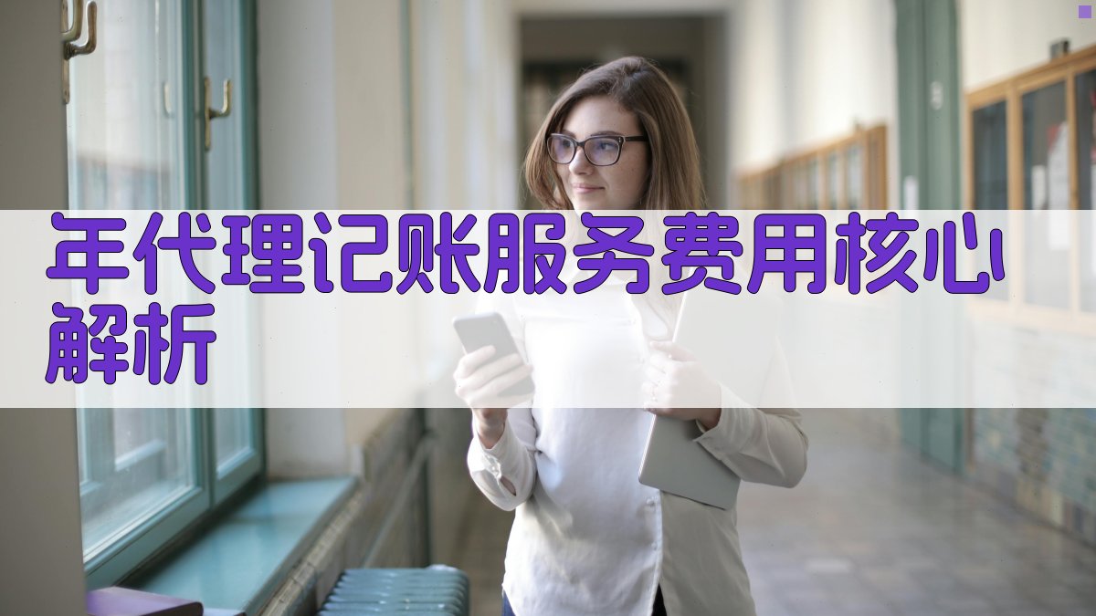 年代理记账服务费用核心解析 图2