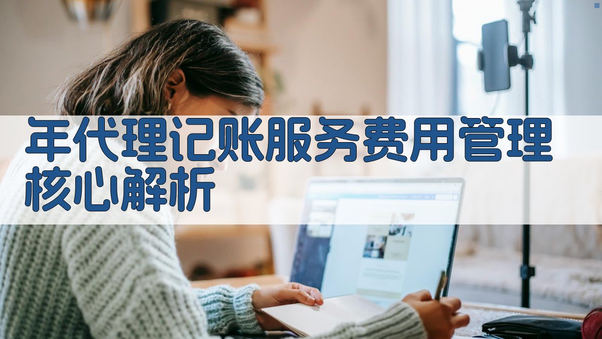 年代理记账服务费用管理核心解析 图1