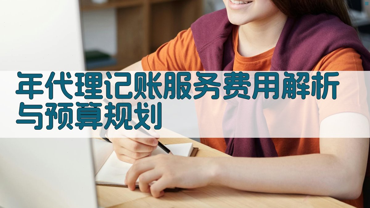 年代理记账服务费用解析与预算规划 图2