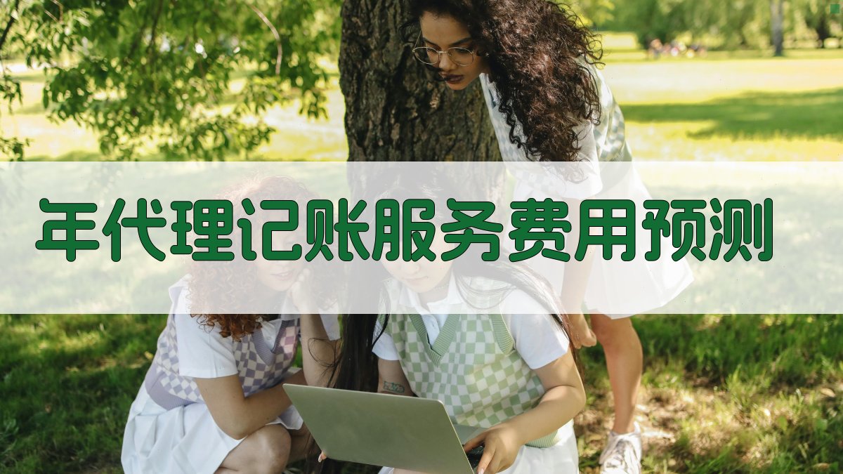 年代理记账服务费用预测 图2