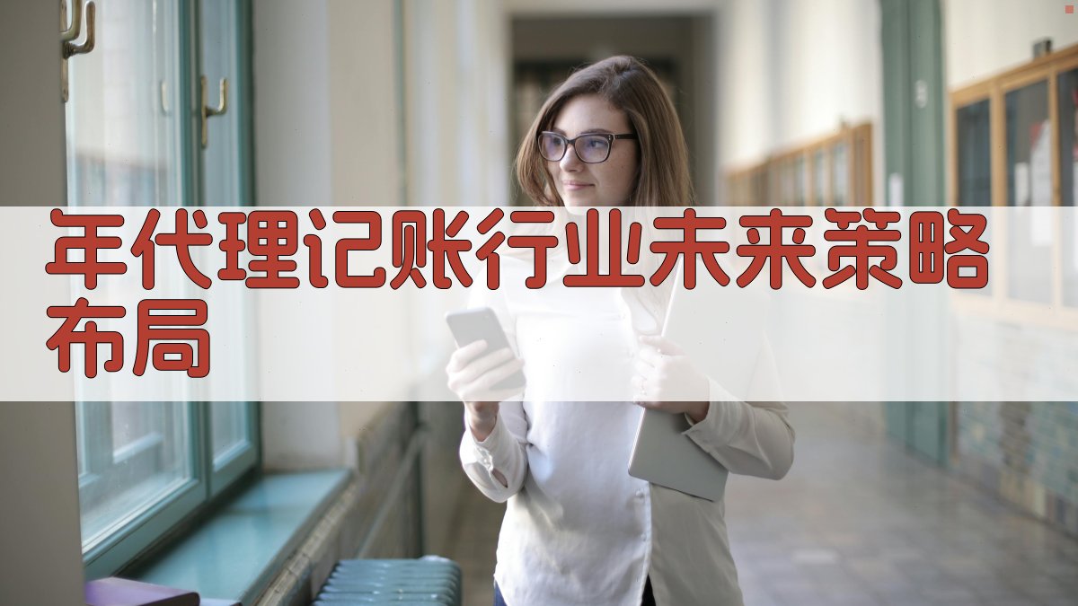 年代理记账行业未来策略布局 图4