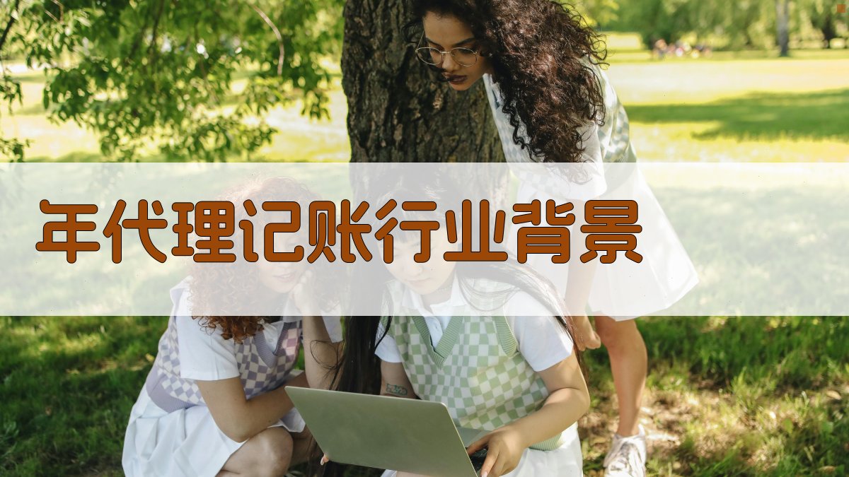 年代理记账行业背景 图1