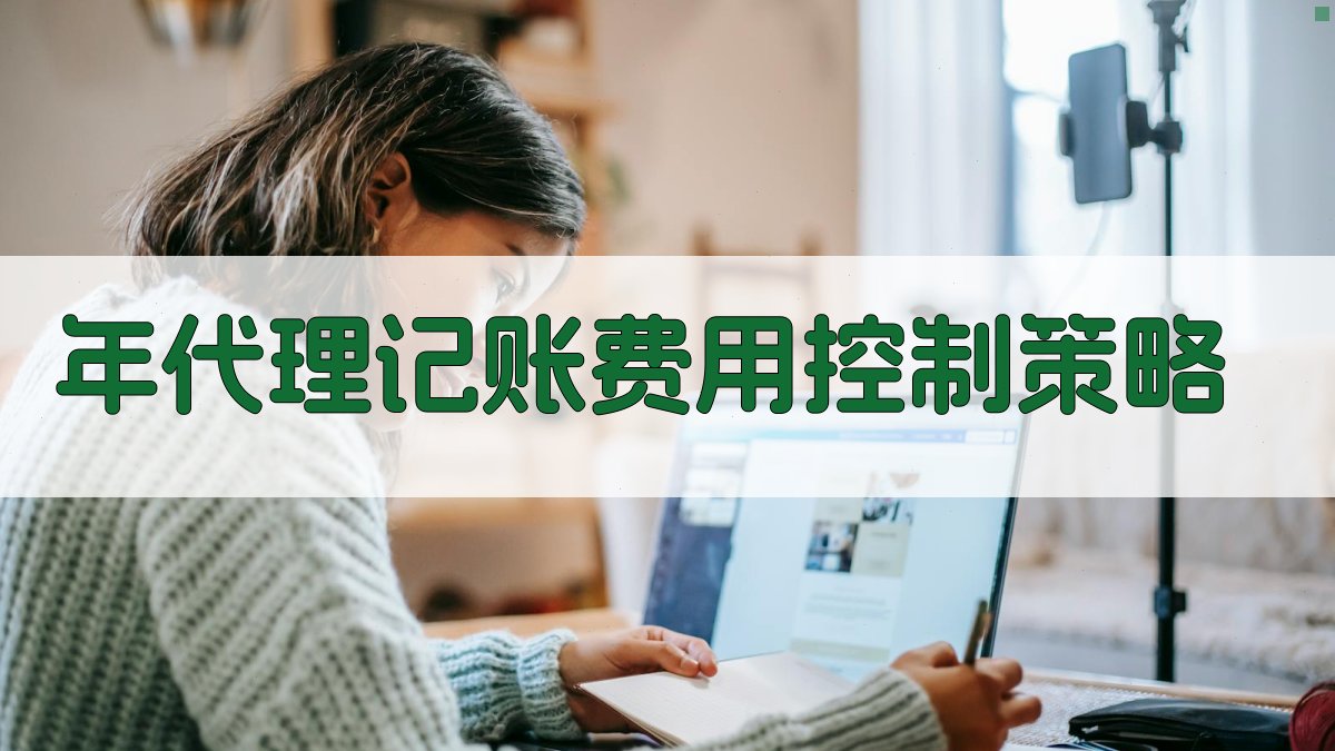 年代理记账费用控制策略 图3