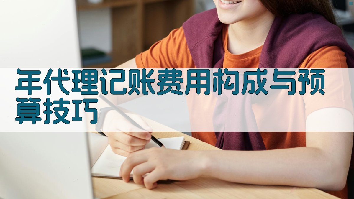 年代理记账费用构成与预算技巧 图2