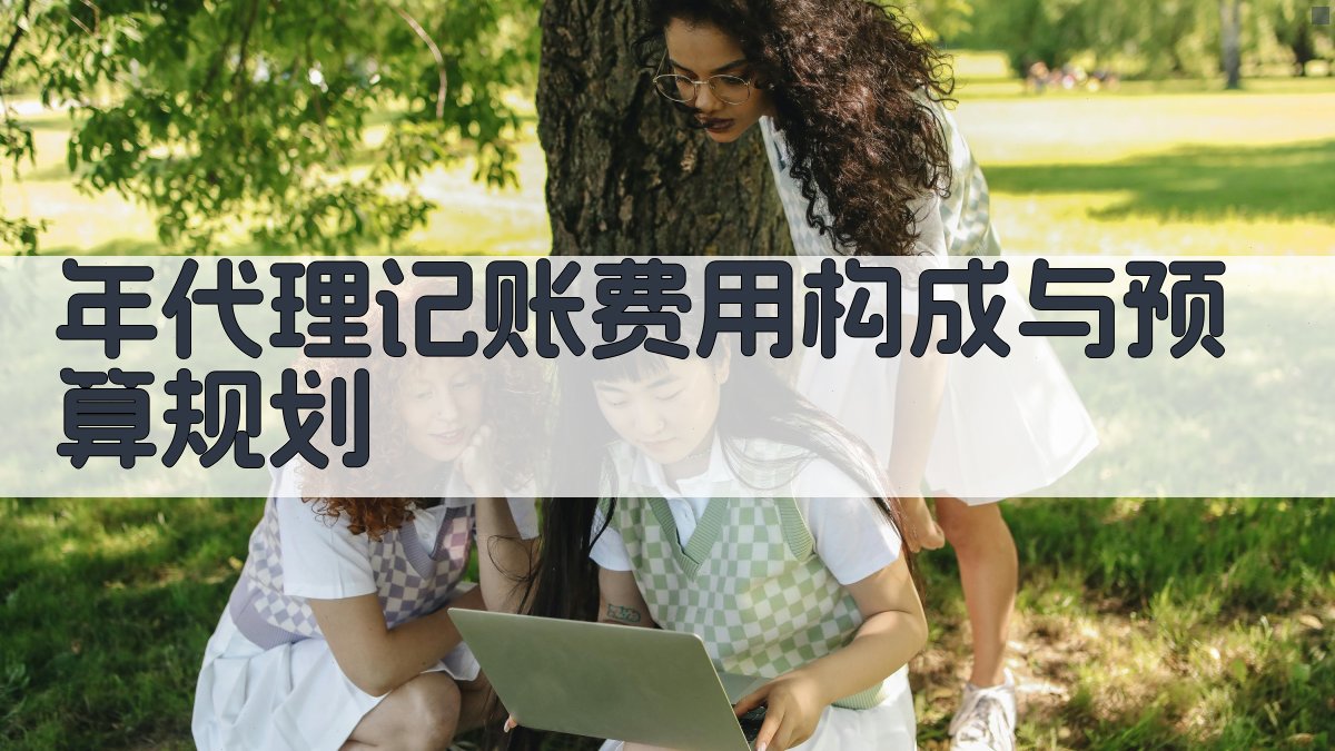 年代理记账费用构成与预算规划 图3