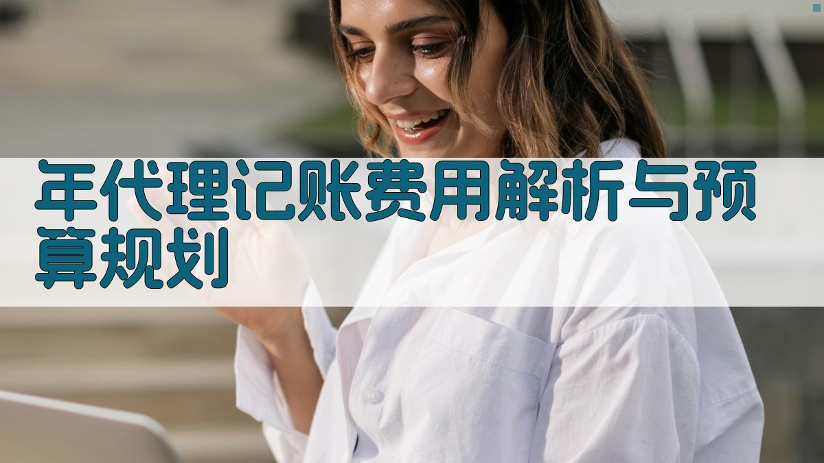 年代理记账费用解析与预算规划 图2