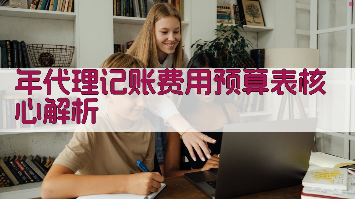 年代理记账费用预算表核心解析 图2
