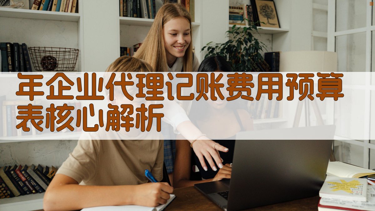 年企业代理记账费用预算表核心解析 图2