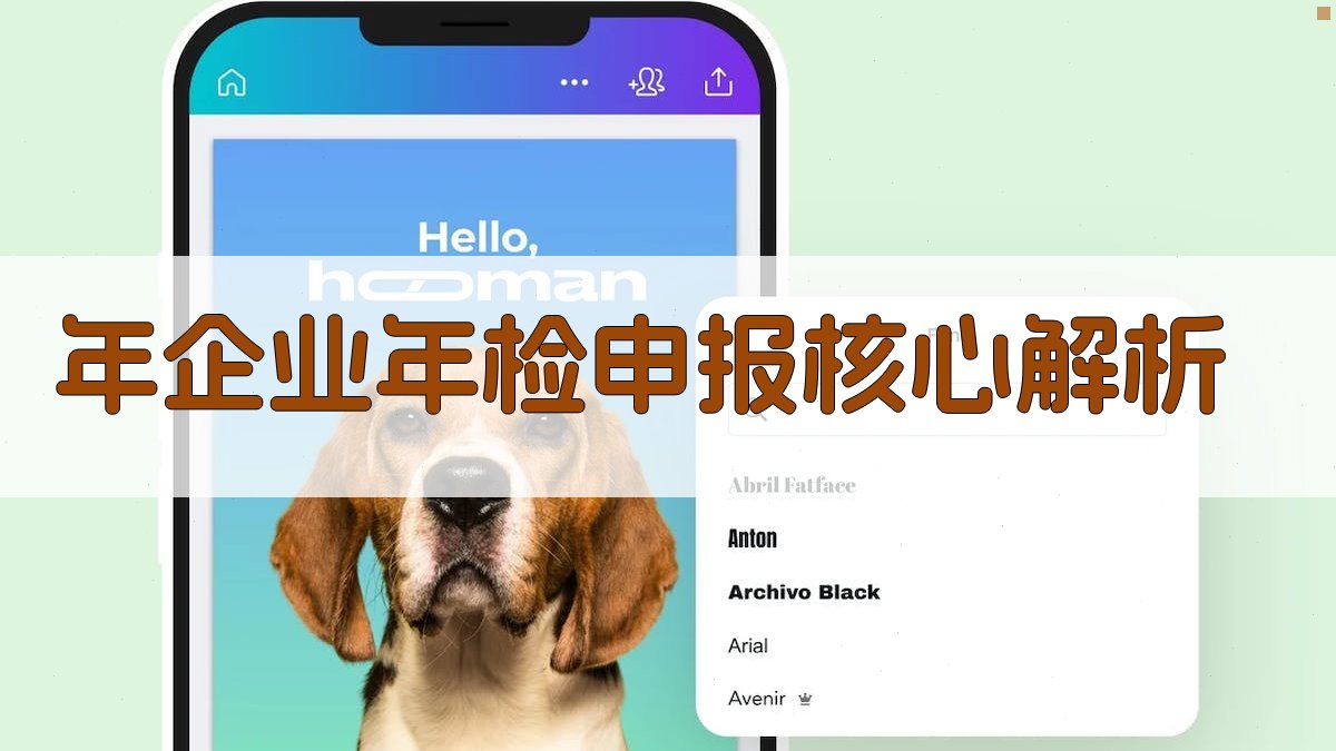 年企业年检申报核心解析 图2