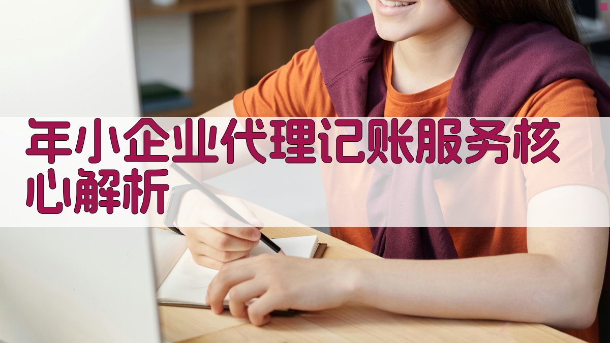 年小企业代理记账服务核心解析 图1
