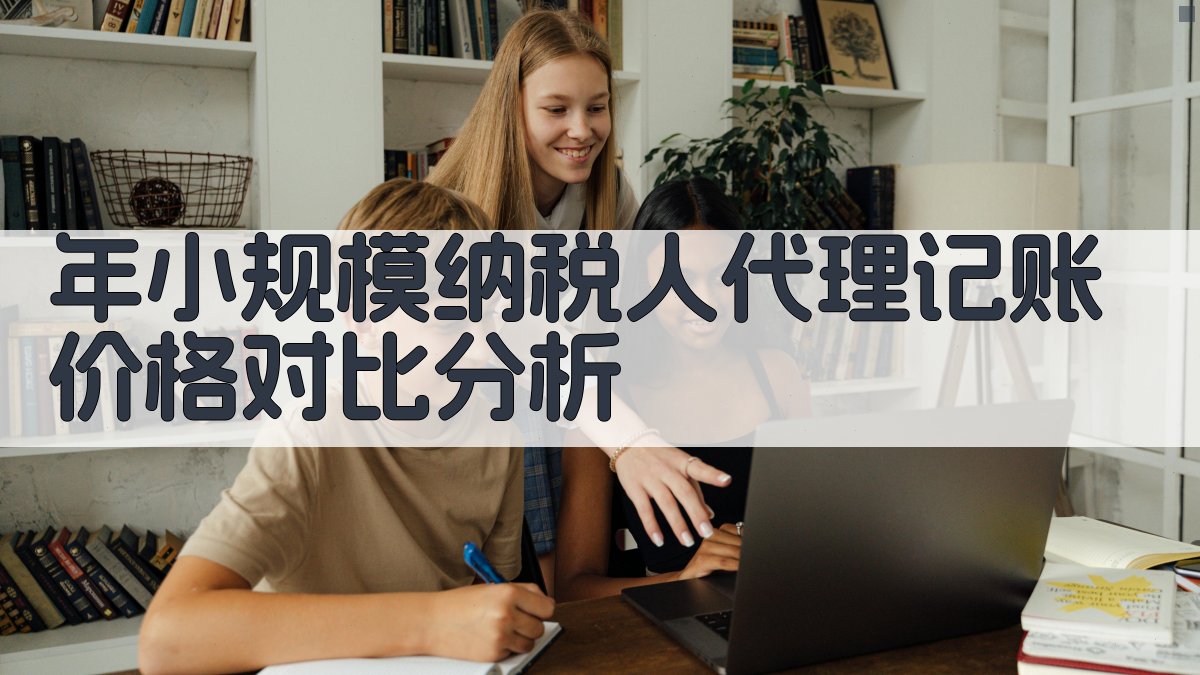 年小规模纳税人代理记账价格对比分析 图4