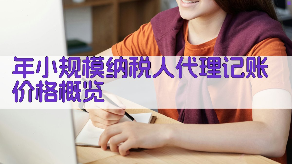 年小规模纳税人代理记账价格概览 图1