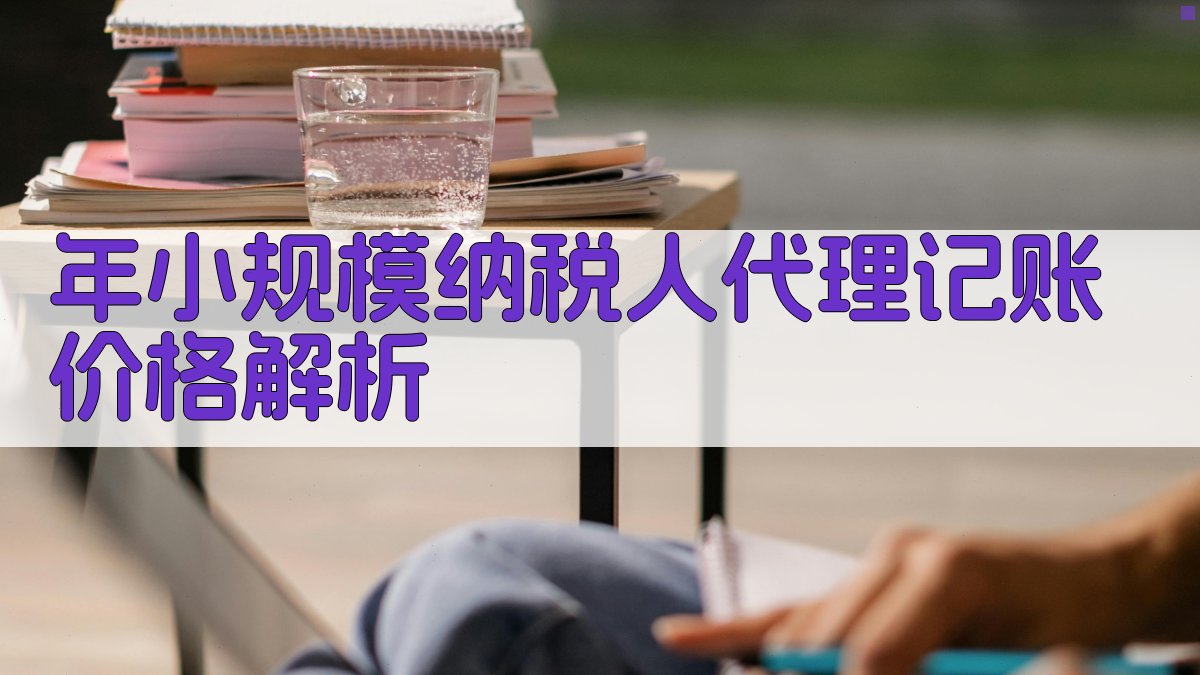 年小规模纳税人代理记账价格解析 图2