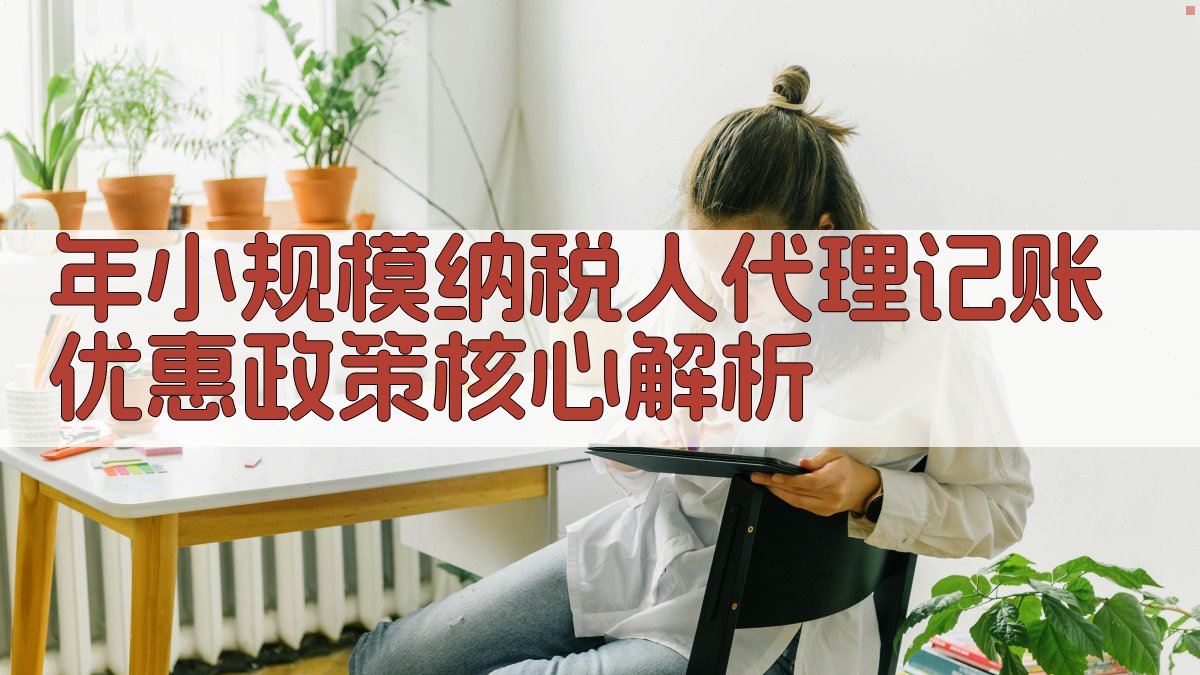 年小规模纳税人代理记账优惠政策核心解析 图1