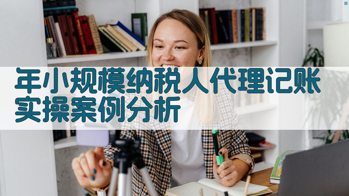 年小规模纳税人代理记账实操案例分析 图3