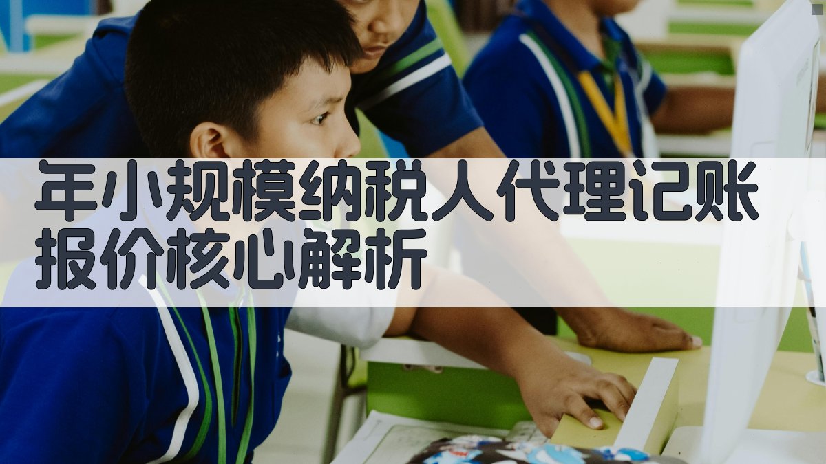 年小规模纳税人代理记账报价核心解析 图2