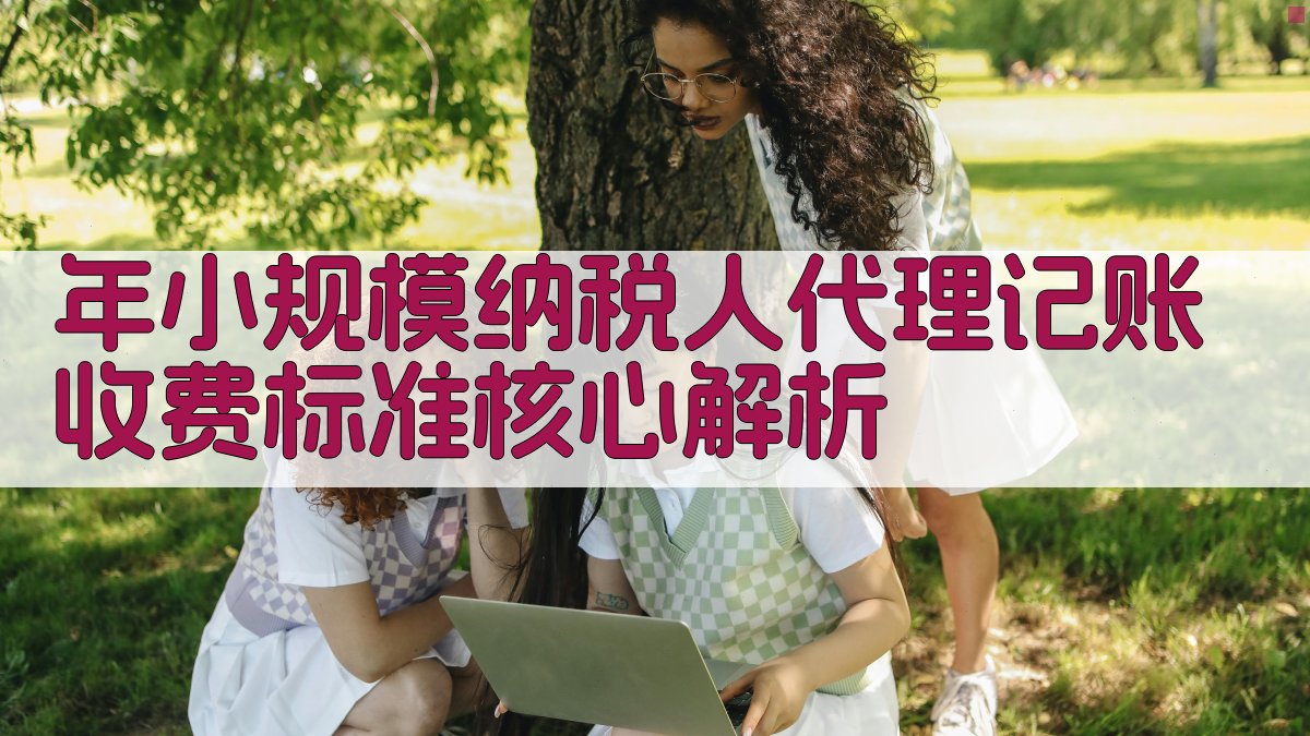 年小规模纳税人代理记账收费标准核心解析 图2
