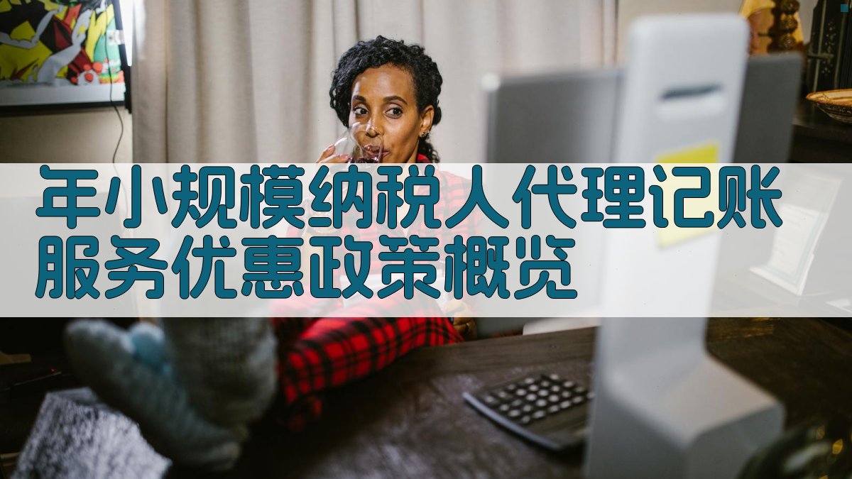 年小规模纳税人代理记账服务优惠政策概览 图1