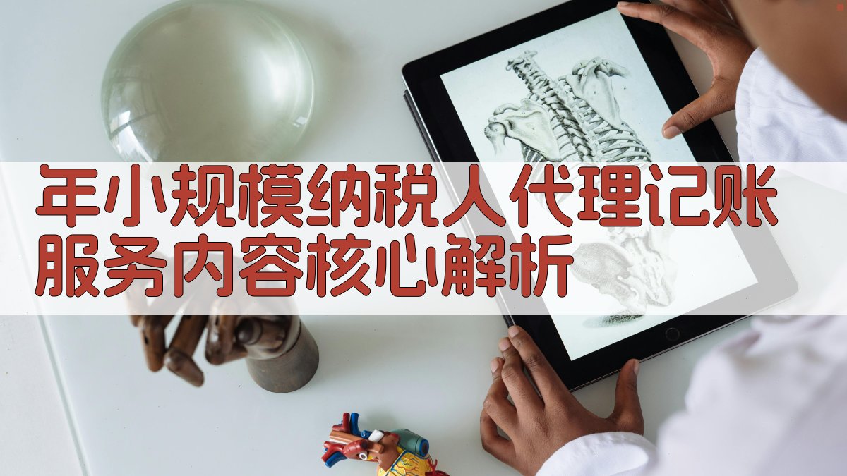 年小规模纳税人代理记账服务内容核心解析 图2