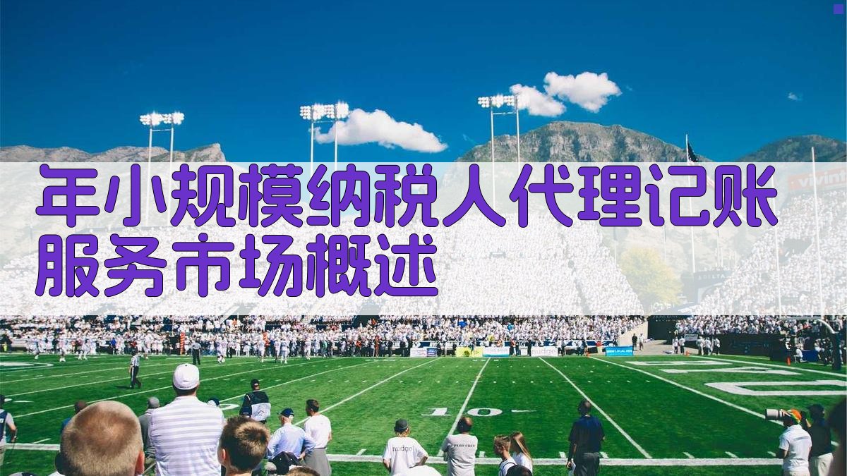 年小规模纳税人代理记账服务市场概述 图1