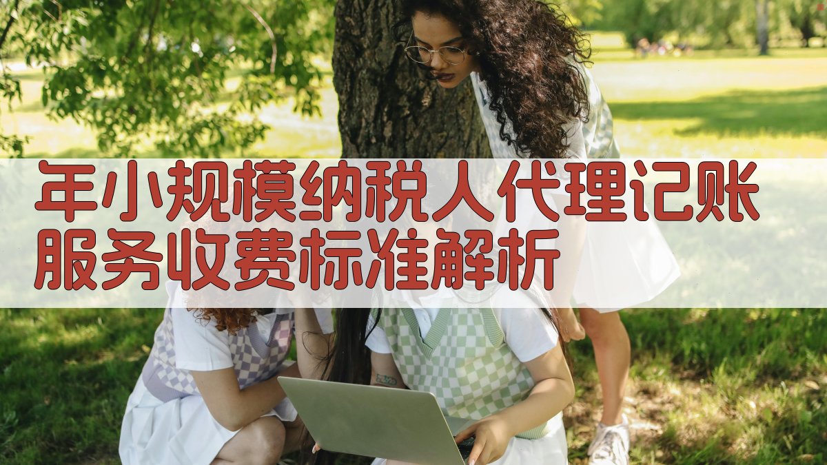 年小规模纳税人代理记账服务收费标准解析 图1